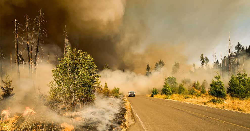 Paradise, California Members: Still Helping in the Wake of Forest Fires